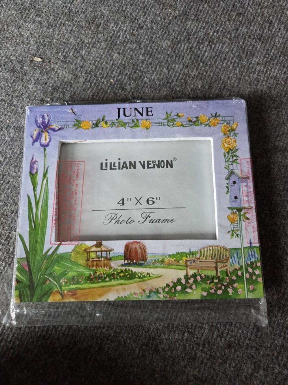 Lillian Vernon June Floral 4x6 Photo Frame - Purple and Yellow